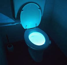 Blauw_toilet